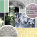 How To Make A Mood Board For Your Brand