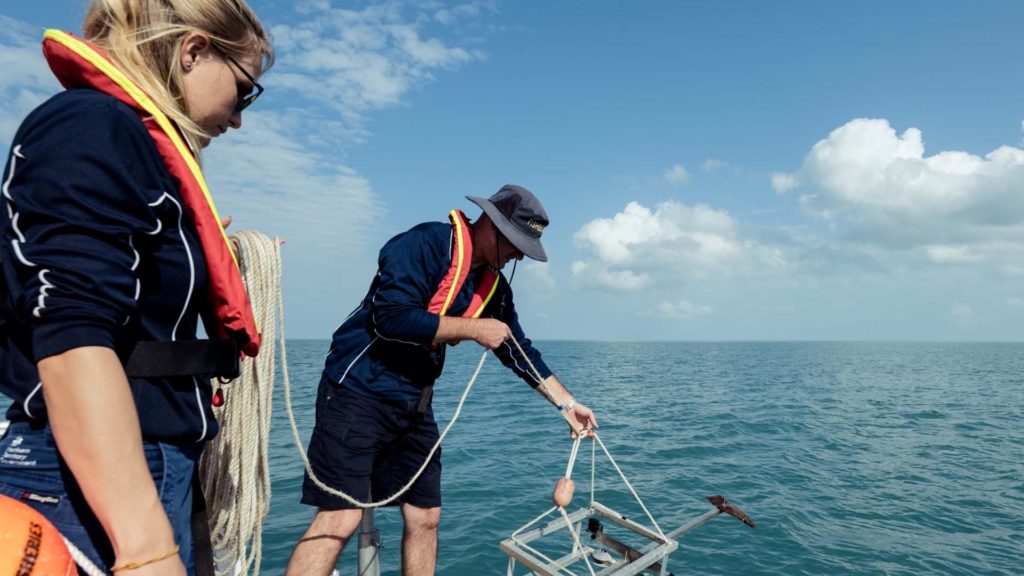 Shane Penny, Fisheries Research Scientist and his team using baited underwater cameras as part of Australia’s Northern Territory Fisheries artificial intelligence project with Microsoft to fuel insights in marine science.