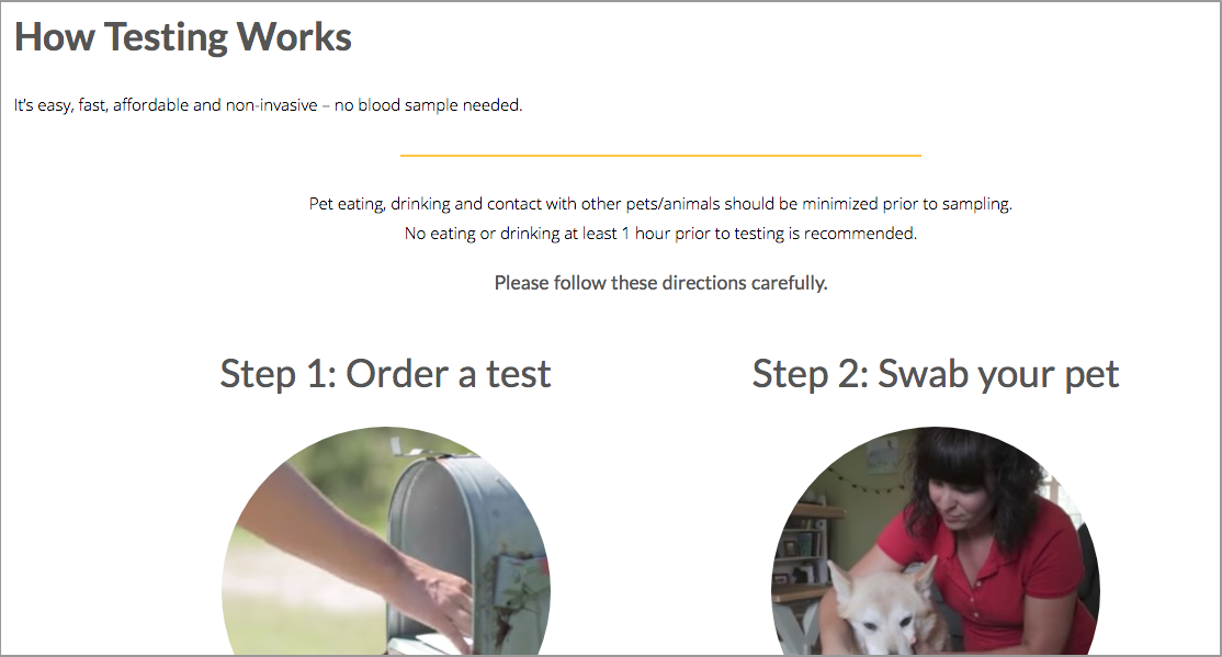 How Dog DNA Testing Works GenSol