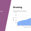 Surprising Findings About The People Behind WooCommerce Stores