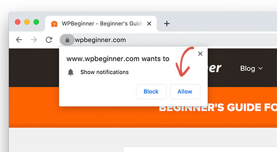 Allow push notifications from WHOOPS.ONLINE
