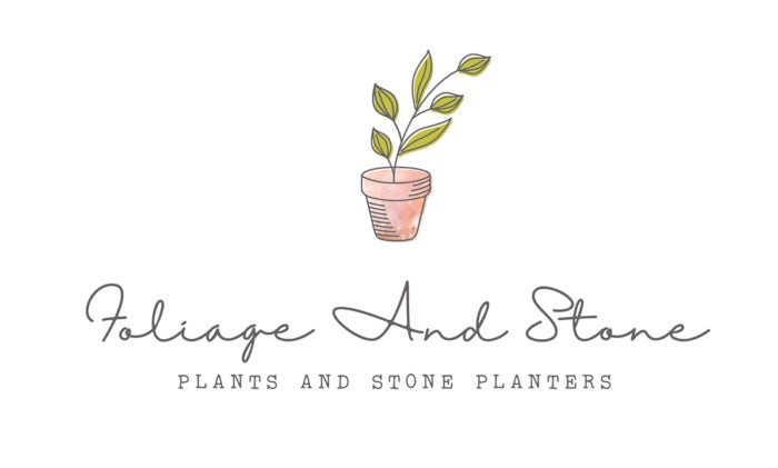 minimal and natural green and brown plant logo design