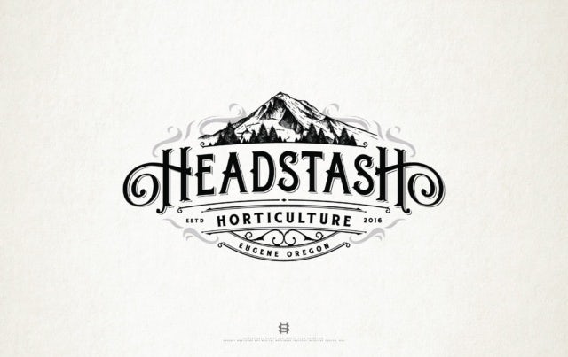 logo design for Headstash