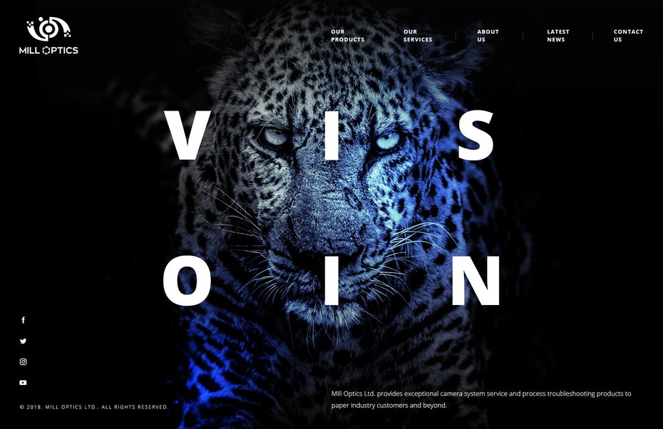 vision web design