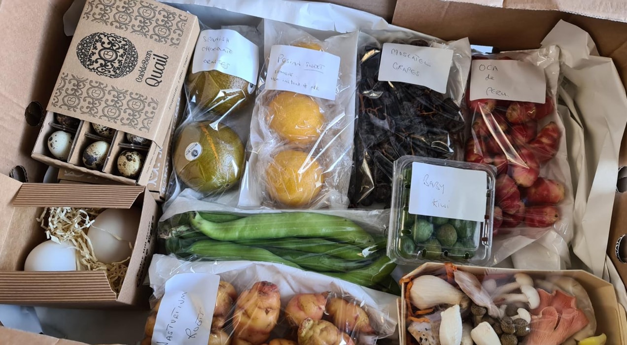box of food from First Choice with fruit, vegetables, and eggs