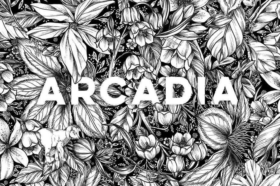 Packaging design trends 2020 example: detailed Arcadia Pattern for Beekman 1802