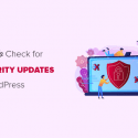 How To Check For WordPress Security Updates (Beginners Guide)