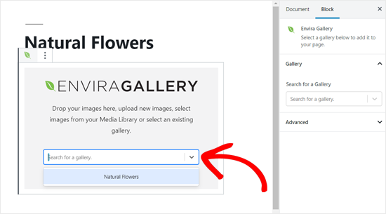 Choose an Envira Gallery to Add to your WordPress Post