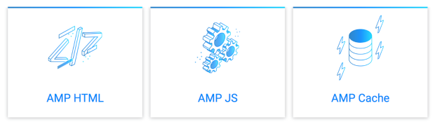 Components of AMP