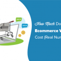 How Much Do Ecommerce Websites Cost In 2019? (Real Numbers)