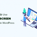 How To Use Distraction Free Full Screen Editor In WordPress