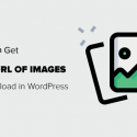 How To Get The URL Of Images You Upload In WordPress