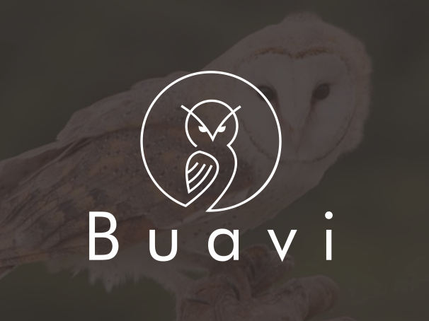 bad logo design of Buavi