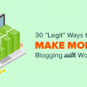 30 “Proven” Ways To Make Money Online Blogging With WordPress