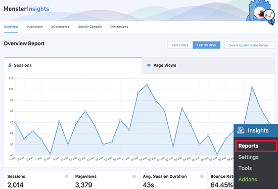 Website stats reports