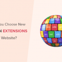 Should You Choose A New Domain Extension For Your Website?