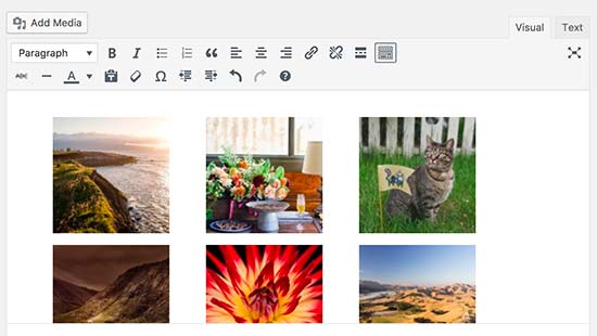 Image gallery in post editor