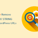 How To Remove V=XXXX String From WordPress URLs