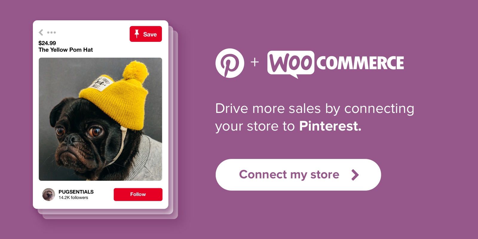 Pinterest for WooCommerce