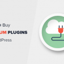 When Is It Worth It To Buy Premium WordPress Plugins? (Explained)