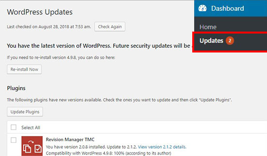 WordPress updates page